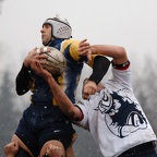 rugby-tradate-valcuvia 023